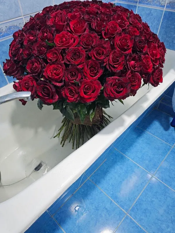 Цветы Цветы