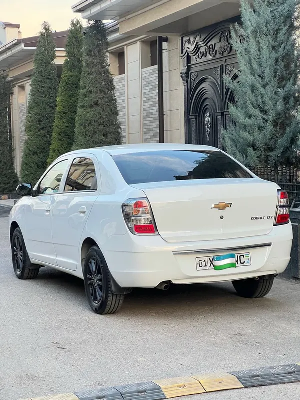Cobalt 2025 Midnayt propan 2 Cobalt 2025 Midnayt propan 2