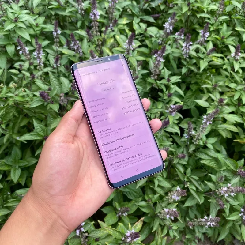 Samsung Galaxy S9+ srochni 2