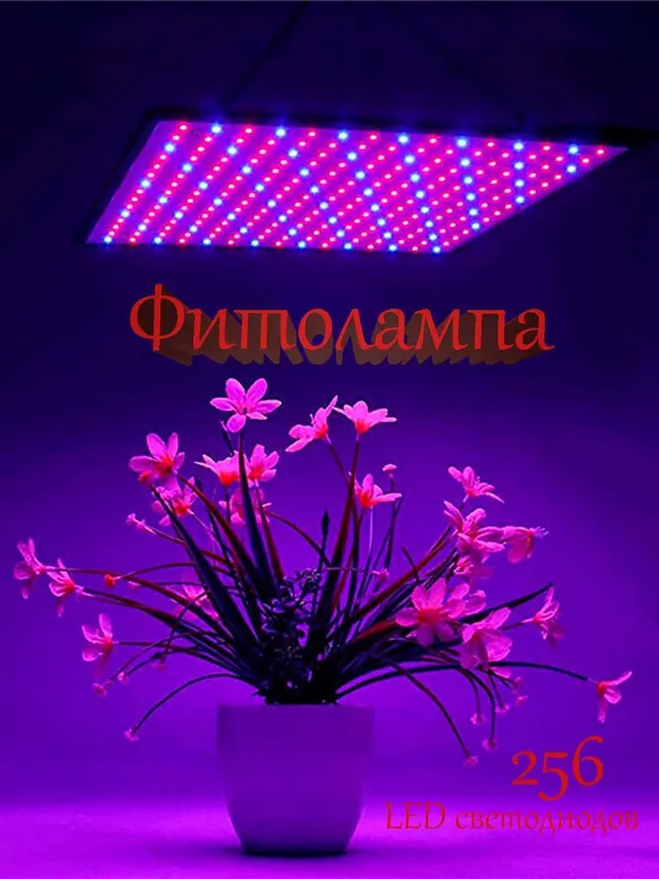 Фитолампа для растений, полного спектра. 256 светодиодов. 30х30см. Фитолампа для растений, полного спектра. 256 светодиодов. 30х30см.