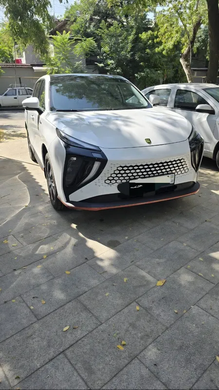 Dongfeng Forthing Friday 2 Dongfeng Forthing Friday 2