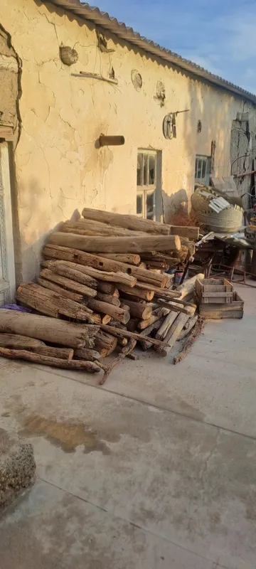 Тараша утин сотилади — фото 1