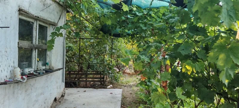 Продам срочно дачу на ташморе. Дача с бассейном на природе. 4 Продам срочно дачу на ташморе. Дача с бассейном на природе. 4