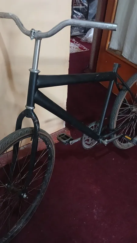 velosiped gonchik