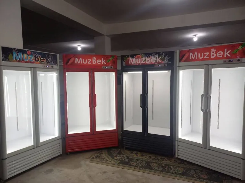 Морозильные камеры,Marazilka yngi.Dostavka Bor 1