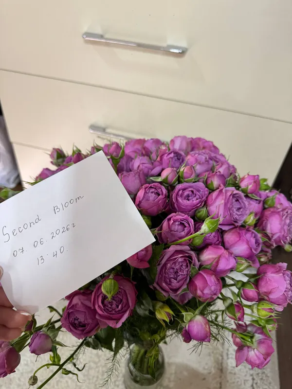 Букет цветов