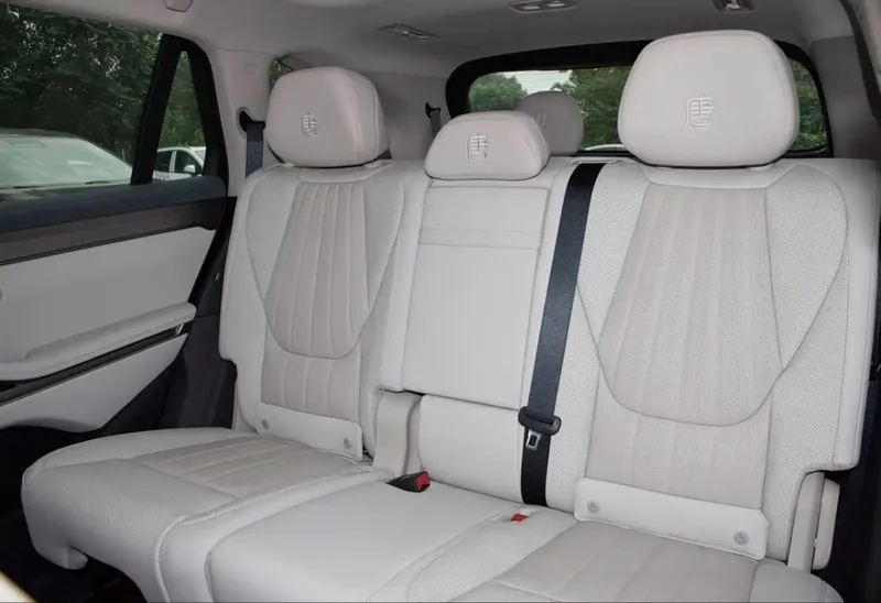 BYD tang L ev and DM-i 5 BYD tang L ev and DM-i 5