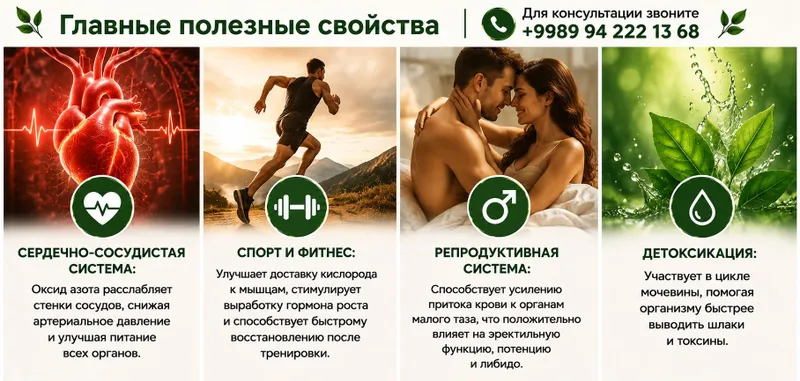 Wheatgrass vitgrassi 4 Wheatgrass vitgrassi 4