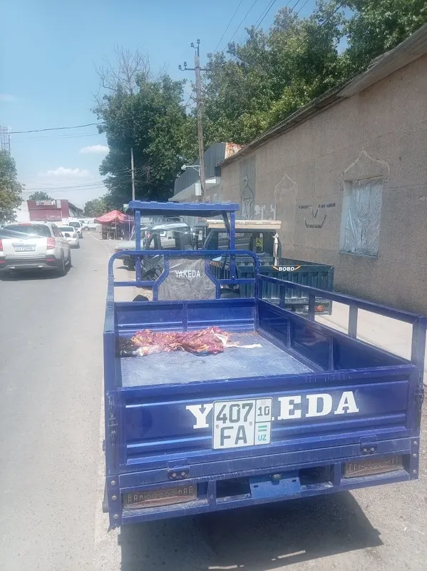 Муравей яакеда матор — фото 2