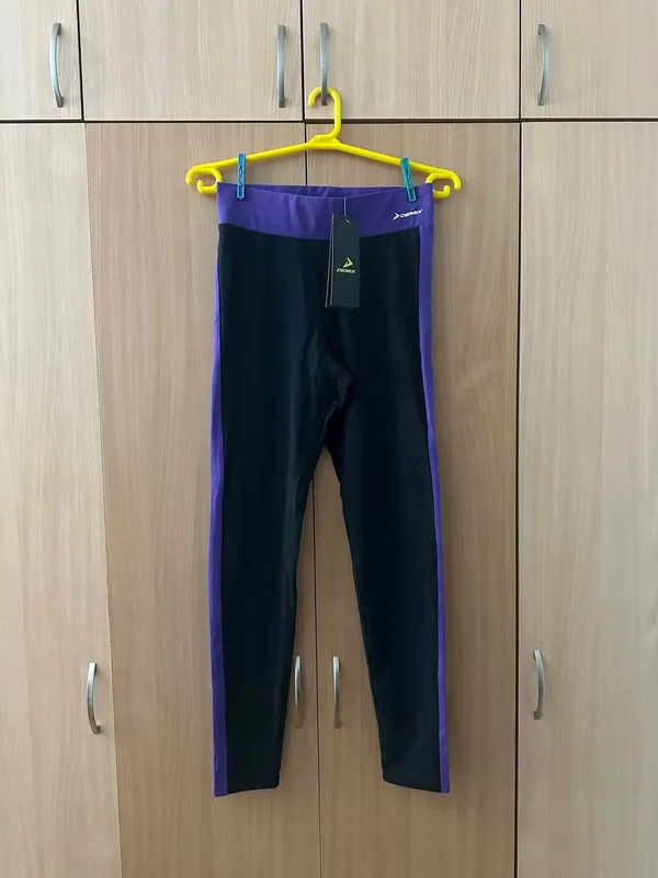 Legginslar 1 Legginslar 1