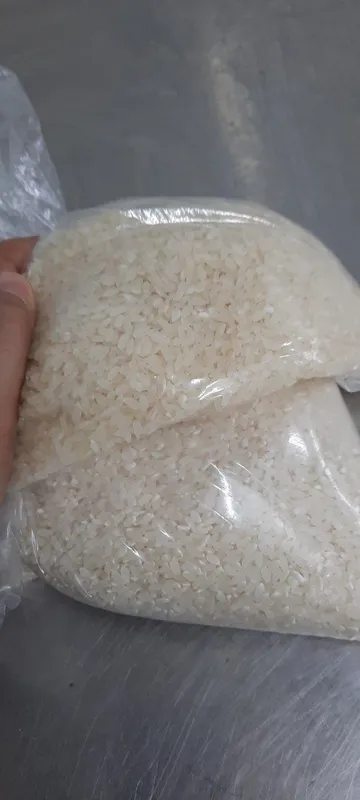 Краснодарский рис Аланга 6