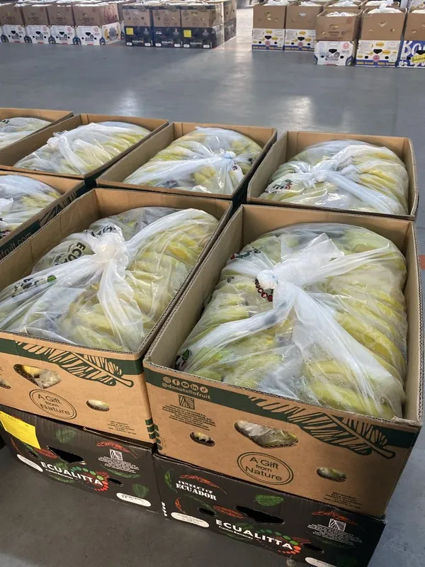 Banan ecualitta optom Banan ecualitta optom