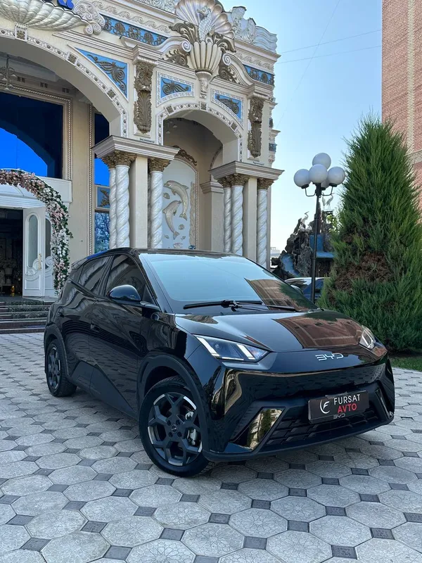 byd seagull nasiya savdo 2024 1 byd seagull nasiya savdo 2024 1