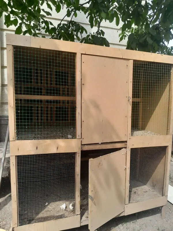 Kaptar tovuqlat uchun katak sotiladi 1 Kaptar tovuqlat uchun katak sotiladi 1