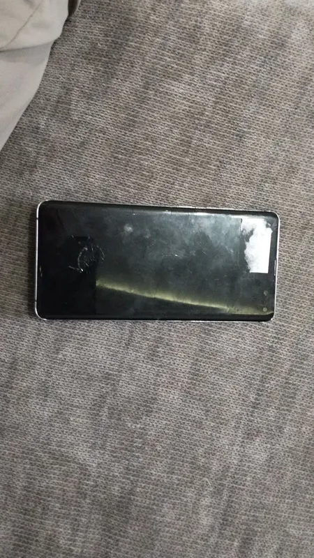 Samsung s10 plus zapchastga 1