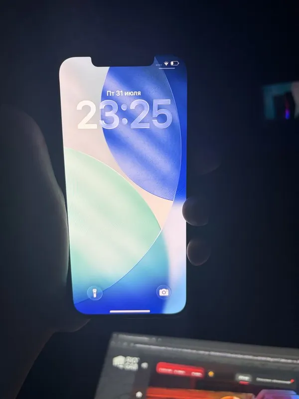 iPhone 12 Pro Max 6