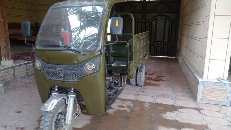 Alp motors murovi 1