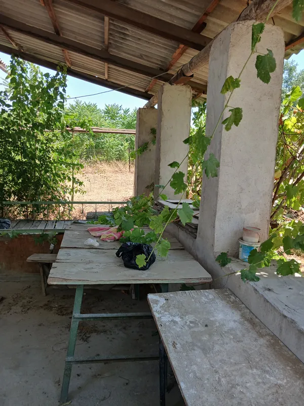 Toshkentdan 30 km, Pskent tumanida dacha, 12 sotix 1