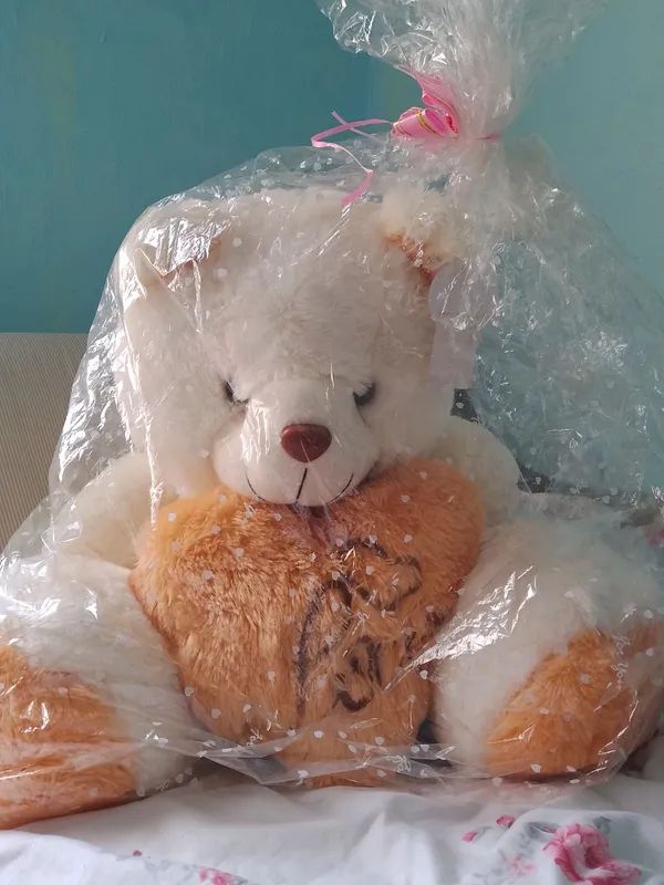 Umuman ishlatilmagan, 1 yil davomida paketda turdi