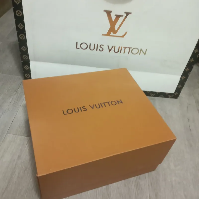 Louis Vuitton sumkasi 1