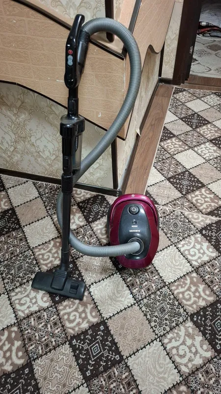 Pelissos sotiladi