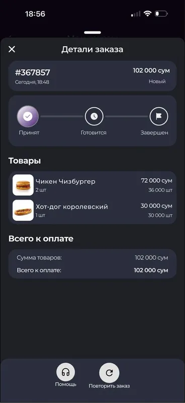 Чистокровные шотландские котята — фото 5 Чистокровные шотландские котята — фото 5