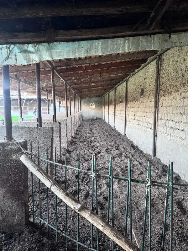 10 700 y.e sotigi narxini kelishamiz kami bor — фото 8