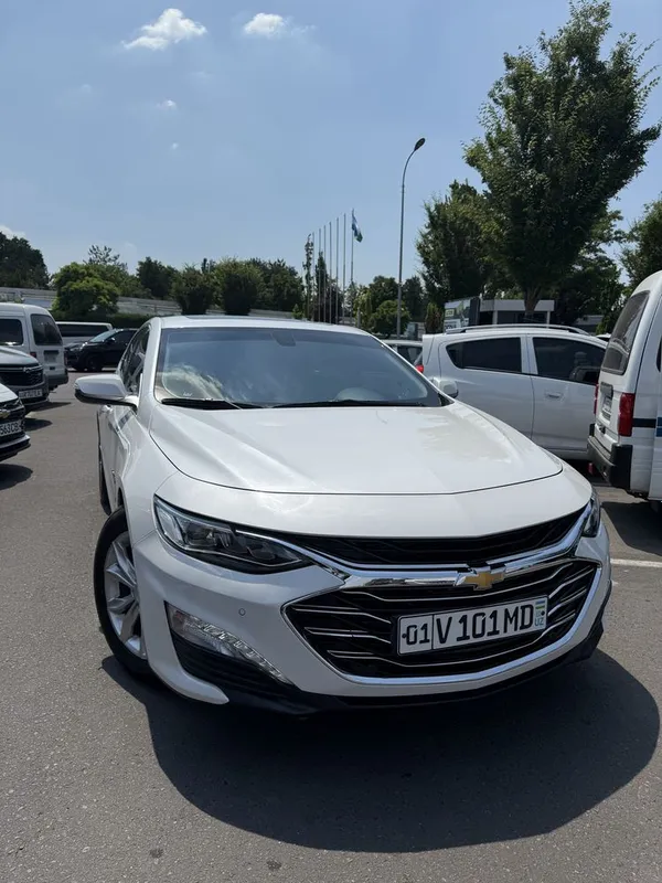 Malibu 2 premier oq jemchuk