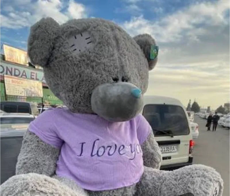 Oq ayiq teddy (170sm) 4 Oq ayiq teddy (170sm) 4