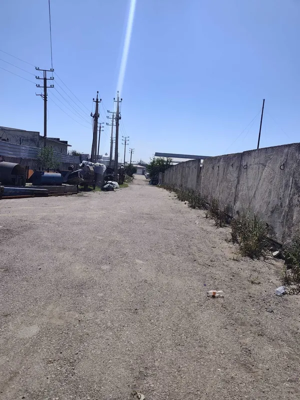 2 гектар Зангиота Боз сув