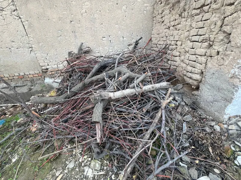 дрова 2