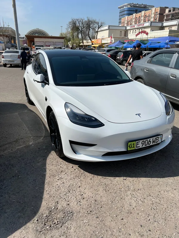 Model 3 standard plus — фото 2