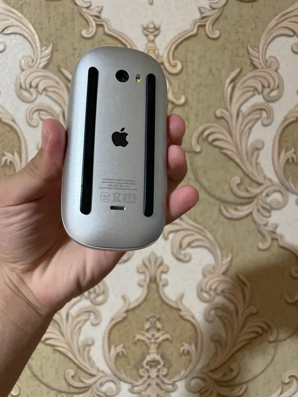 Magic Mouse — фото 1