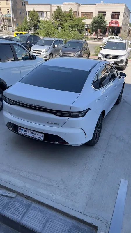 BYD Chazor 2025 yil 120 talik 8