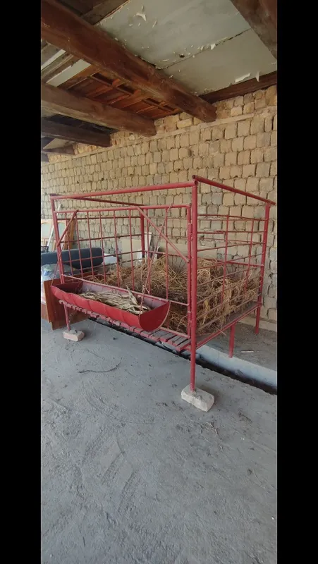 Qo'yxona sotiladi 5 Qo'yxona sotiladi 5