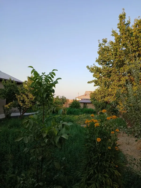 Dala hovli dacha vasxod 3