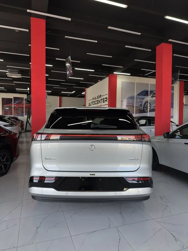 DongFeng L8 112 pro va 185 plus — фото 7