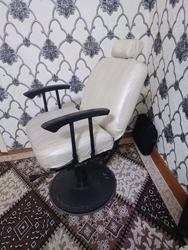 Salon kreslo 2