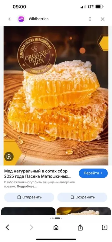 Мед горный натуральный оптом из пасеки в сотах 4 Мед горный натуральный оптом из пасеки в сотах 4