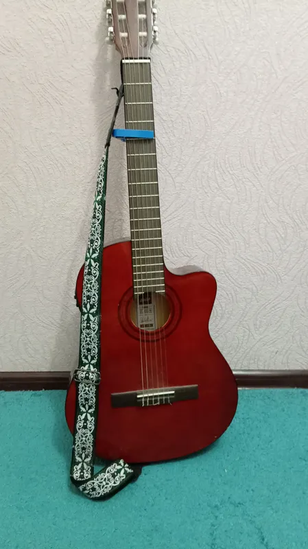 Ashton gitara 1 Ashton gitara 1