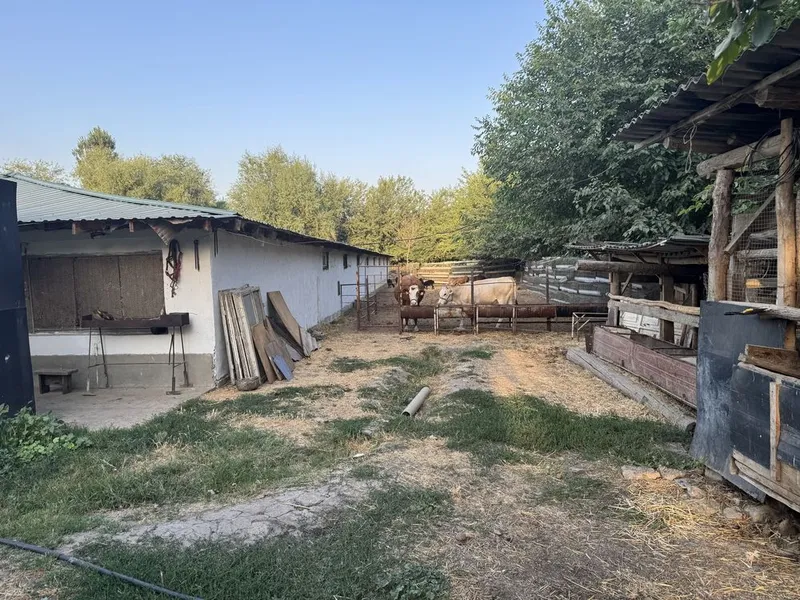 Урта чирчик Таракийот МФЙ С. Полатов кочаси 152 уй — фото 4