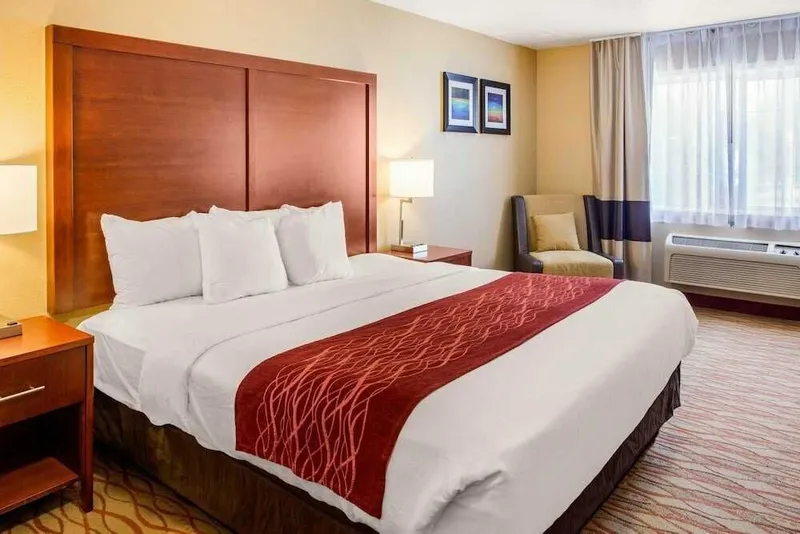 Mehmonxona,Hotel,Гостиница 1
