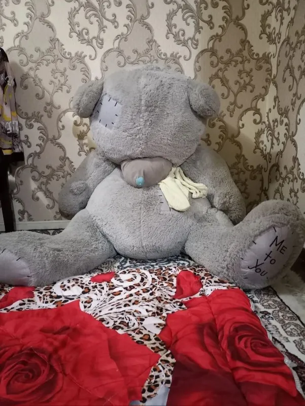 Teddy ayiq . . .