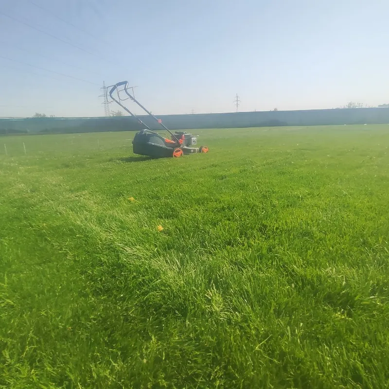 Gazon yotqizamiz lanshaft hizmati ,agro doktr bor — фото 2