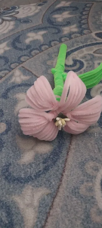gul sotiladi narxi 5 ming gul sotiladi narxi 5 ming