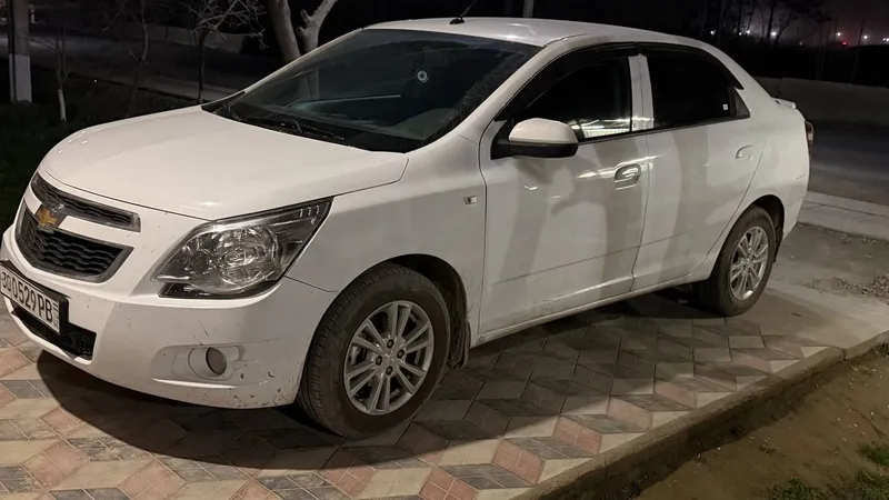 Oq kobalt, holati zo'r, bir kishi mingan — фото 6
