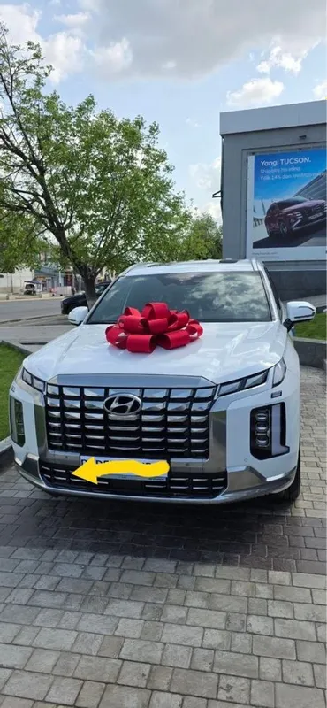 Hyundai Palisade 2025 4 Hyundai Palisade 2025 4