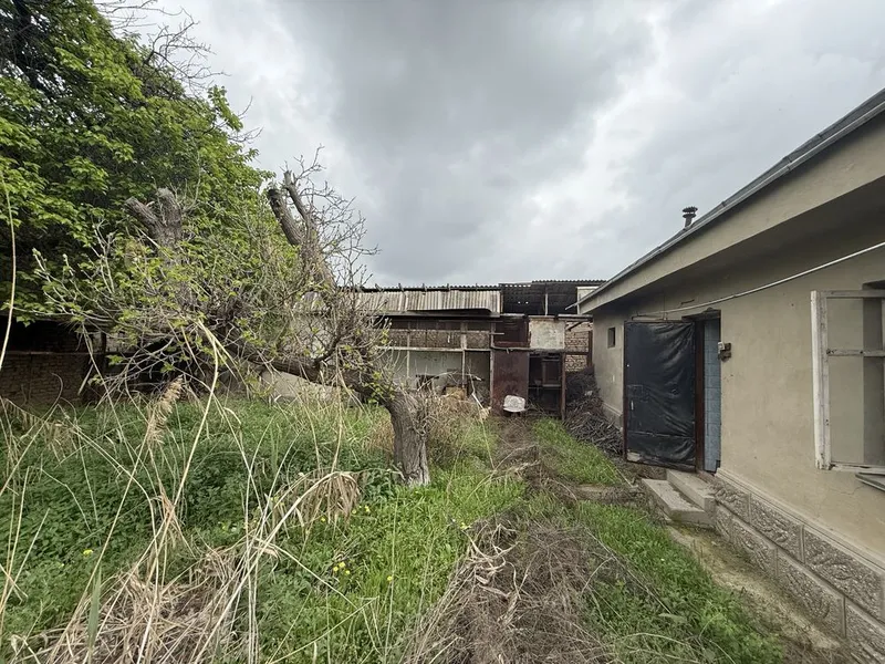 Oʻrizor lager kochada 8 sotix 6 Oʻrizor lager kochada 8 sotix 6