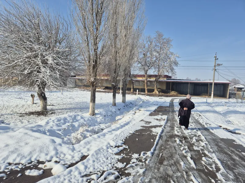 Кафе,ошхона,столовый,на трассе — фото 1