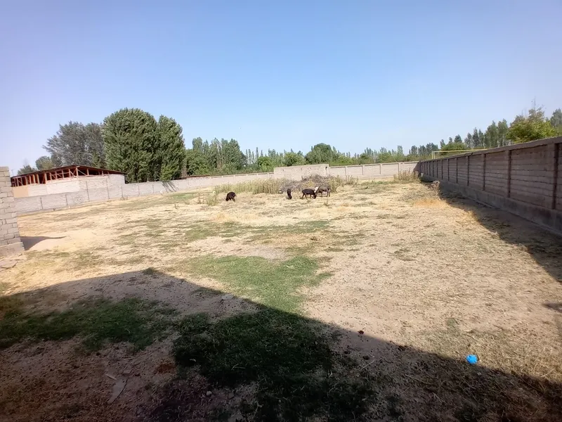 Yunsobid zenit hasanboyda yer sotiladi 12sutu 9 Yunsobid zenit hasanboyda yer sotiladi 12sutu 9